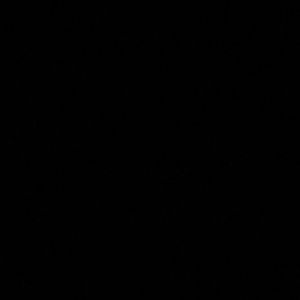 Meet your Posher, Bunmy